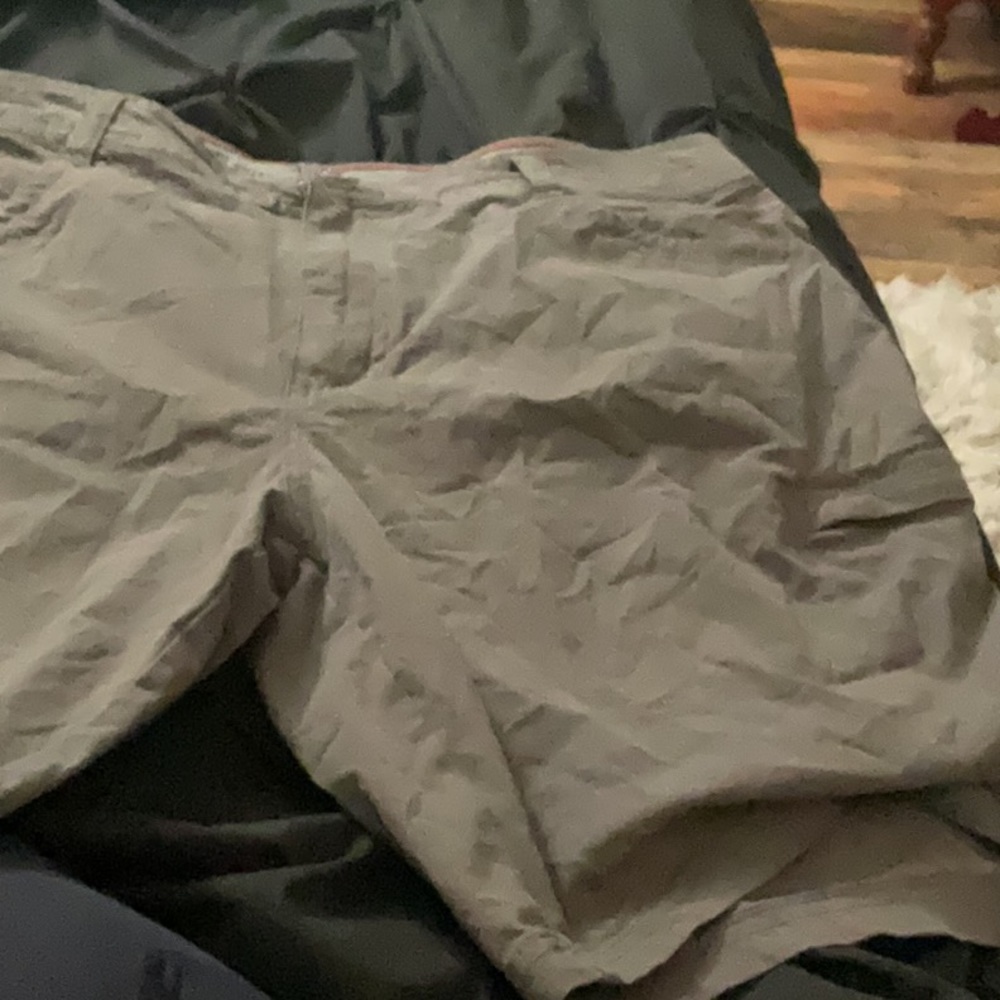NWOT shorts